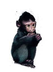 El bebé macaco en blanco, 2020
