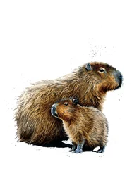 Los Capibaras en Blanco, 2019