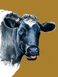 La vaca en amarillo dorado, 2021