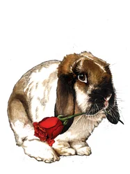 El conejo del amor en blanco, 2020