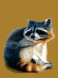 El mapache en amarillo dorado, 2020