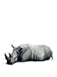 El rinoceronte en blanco, 2019