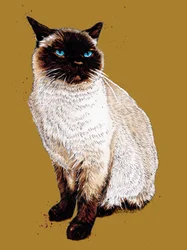 El gato siamés en amarillo dorado, 2020