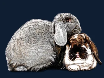 Pensando en conejos en azul noche, 2020