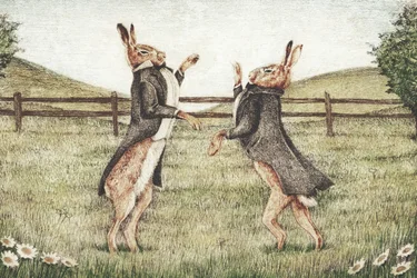 Pelea de caballeros