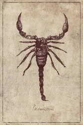 Palmarés por especies