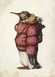Pingüino volador