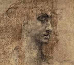 Cabeza de un ángel, 1887