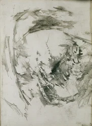 Mejillón perla, 1904