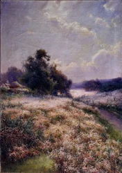 Pradera en Flor