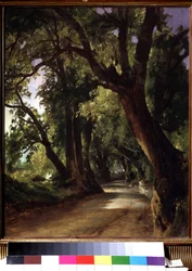 Ver en Albano cerca de Roma (Italia). (Vista en Albano cerca de Roma). Descripción de un camino de tierra entre árboles altísimos. Pintura de Mikhail Ivanovich Lebedev (1811-1837), óleo sobre lienzo, paisaje del siglo XIX. Galería Estatal Tretyakov, Moscú.