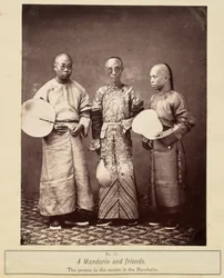 Un mandarín y sus amigos