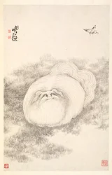 Gato y Mariposa, 1788