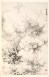 Dragon amid Clouds
