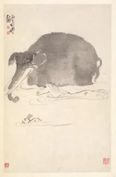 Elephant, Horse, and Hare