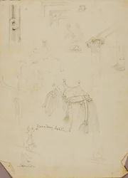 Silla de montar dromedario/Estudios