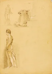Estudios de Sculante