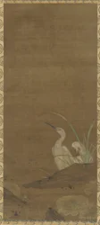 Garzas y plantas acuáticas