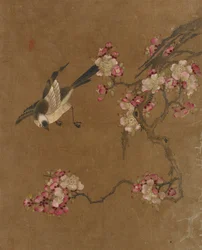 Diez imágenes de pájaros y flores (color sobre seda)