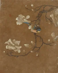 Diez imágenes de pájaros y flores (color sobre seda)