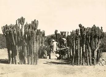 Construyendo un Imperio en la era fascista: pozo en Nacfa, 09/05/1936