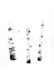 Ghost Birch, 2022 (acuarela sobre papel Langton de 300 g/m² prensado en frío)