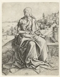 Madonna en un pozo