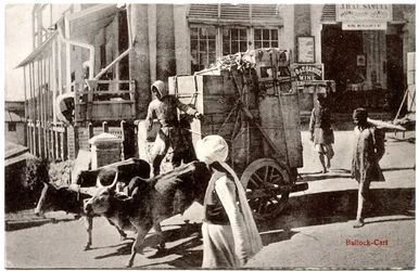 Carro de bueyes, c.1900-20