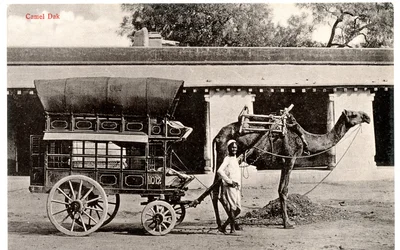 Camel Dak, c.1911-12 (foto sepia)