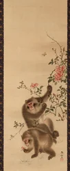 Monos y Rosas