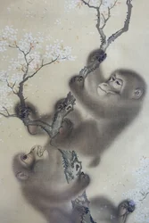 Monos en un cerezo en flor, 1 de 2, Mori Sosen, Japón, periodo Edo, principios de 1800, tinta y color sobre seda - Arthur M. Sackler Museum, Harvard University - DSC01127