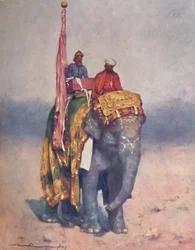 Un elefante de los desiertos arenosos de Rajputana