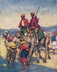 Camellos de Mysore, 1903