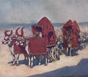 Algunos vehículos nativos, 1903