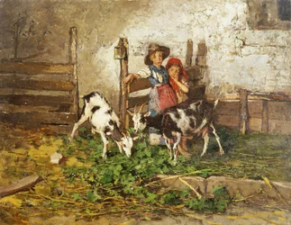 Niños y cabras en un granero