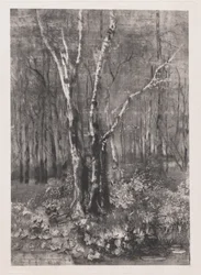 Bosques en el parque cerca de Monza