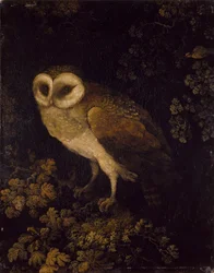 Un búho, 1780-90
