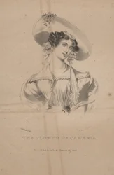 La flor de Cambria, litografía de C.G. Childs, 1830
