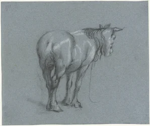 Estudio de un caballo desde atrás, a la derecha
Caballos de trabajo en pie (título de la serie)