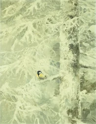 Jilguero en un árbol cubierto de nieve