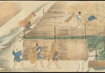 Ilustraciones de la producción de té de Uji