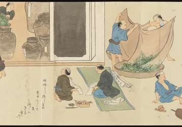 Ilustraciones de la producción de té de Uji