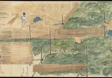 Ilustraciones de la producción de té de Uji