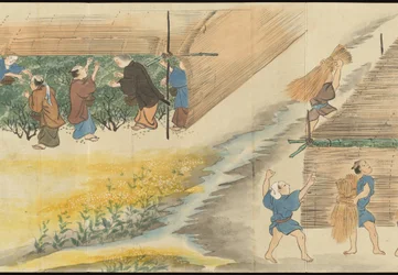 Ilustraciones de la producción de té de Uji