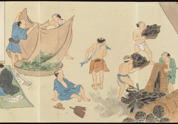 Ilustraciones de la producción de té de Uji