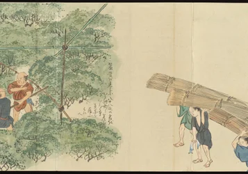 Ilustraciones de la producción de té de Uji