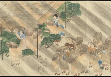 Ilustraciones de la producción de té de Uji