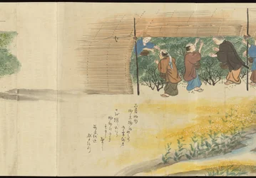 Ilustraciones de la producción de té de Uji