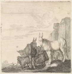 Burros por una pared Animales de cuatro patas (título de la serie)