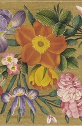 Página del Álbum de San Petersburgo, India, 1727 (color sobre fondo dorado)